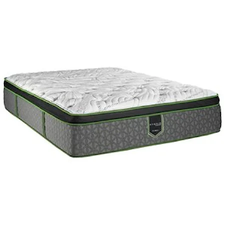 Queen Euro Top Plush Hybrid Mattress and Surge Adjustable Base with Massage